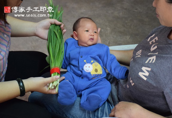 陳寶寶(台中龍井區到府嬰兒寶寶滿月剃頭理髮、免費到府嬰兒剃胎毛儀式吉祥話)。到府剃頭剃胎毛主持、專業拍照、DVD光碟、證書。★購買「臍帶章、肚臍章、胎毛筆刷印章」贈送：剃頭、收涎、抓周，三選一。2015.11.01 照片13